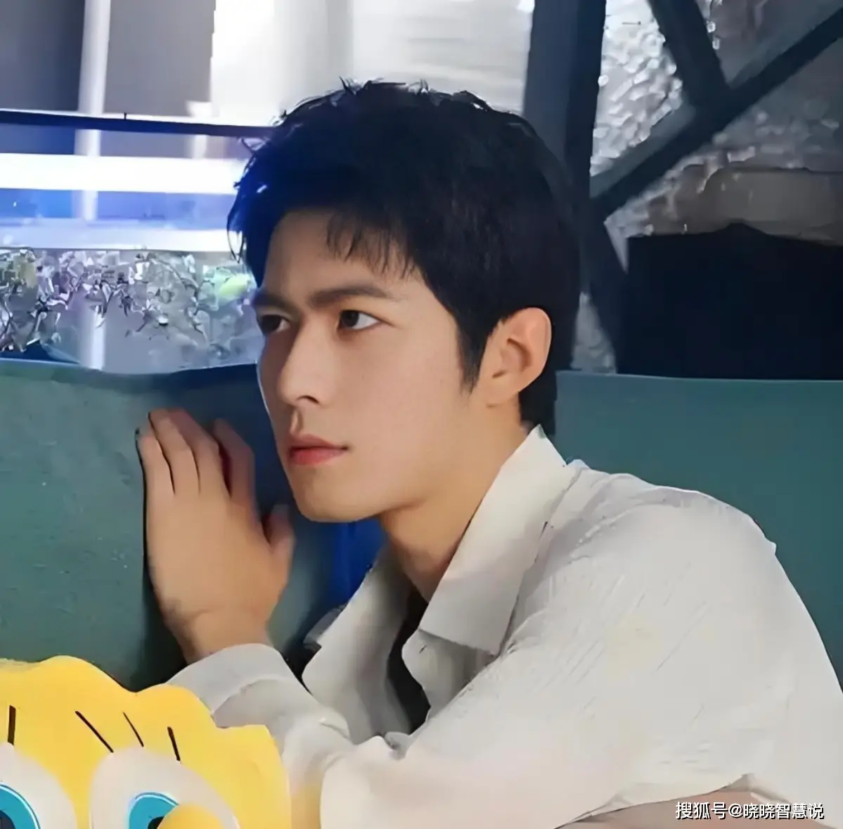 扒不出黑料的明星有哪些名字,_赵丽颖捧不动的男主_娱乐圈昙花一现的女明星