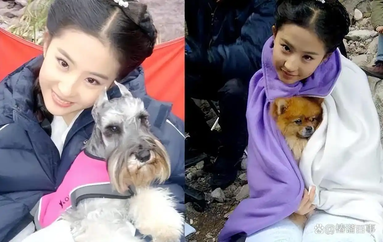 杨超越面相富贵命_旺夫面相的女明星_景甜人间富贵花气质