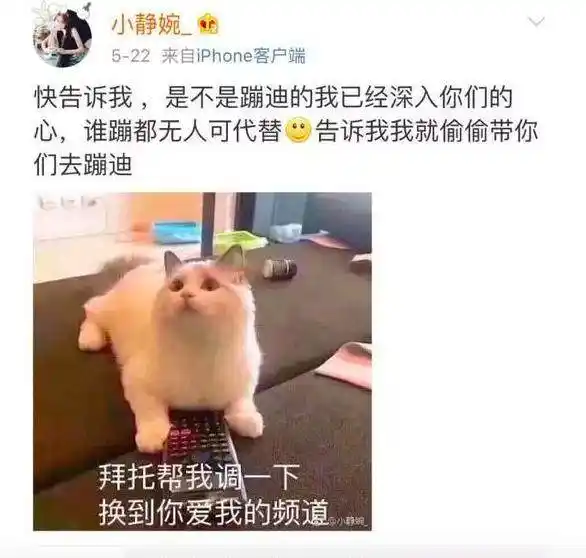 温婉抖音被封禁_网红温婉黑料是什么类型,_温婉未成年蹦迪争议